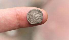 Zigmanto Vazos moneta (ternaras)