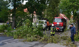 Ugniagesiai 112 kartų vyko šalinti audros nuverstų medžių