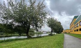 Suoliukų alėja tarp Danės ir Klaipėdos baldų