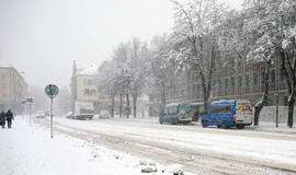 ŽIEMA. Klaipėdos valdžia žada daryti viską, kad šią žiemą pūga Klaipėdos neužkluptų netikėtai. Vitos JUREVIČIENĖS nuotr.