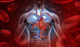 kraujotakos sistemos ligos