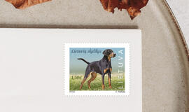 Lietuvos paštas išleidžia pašto ženklą „Lietuvių skalikas"