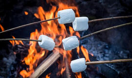 3 paprasti ir nebrangūs desertų ant žarijų receptai