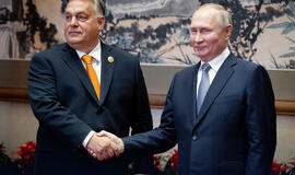 Vengrų premjero Viktoro Orbano ir Rusijos prezidento Vladimiro Putino susitikimas bei kiti požymiai rodo, kad vienybės ES nebėra ir mažai tikėtina, kad ji vėl atsirastų