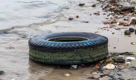 Senų padangų kalnai pamiškėse – įsisenėjusi problema ir maži žingsneliai link sprendimo