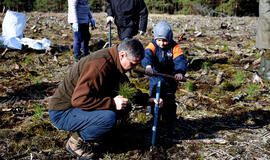 Iš viso pasodinta 7 440 vnt. paprastosios pušies sodmenų. Neringos savivaldybės nuotr.