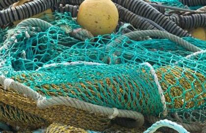 Verslinė žvejyba - draudimai Kuršių marių neatgaivins, reikia susitarimo