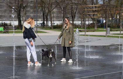 NEPAVYKS. Lietuvos įstatymai neleidžia užgyvento turto palikti mylimam augintiniui, testamente galima tik paprašyti paveldėtoją juo pasirūpinti. Stasio ŽUMBIO nuotr.
