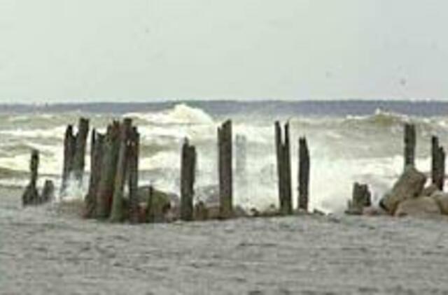 Viltys išsaugoti pajūrį - parlamentarų rankose 