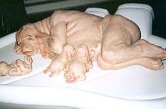 Senas idėjas atrajojantis pasaulio menas Venecijoje 