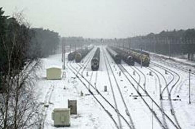 Girulių miško kirsti neskubama 