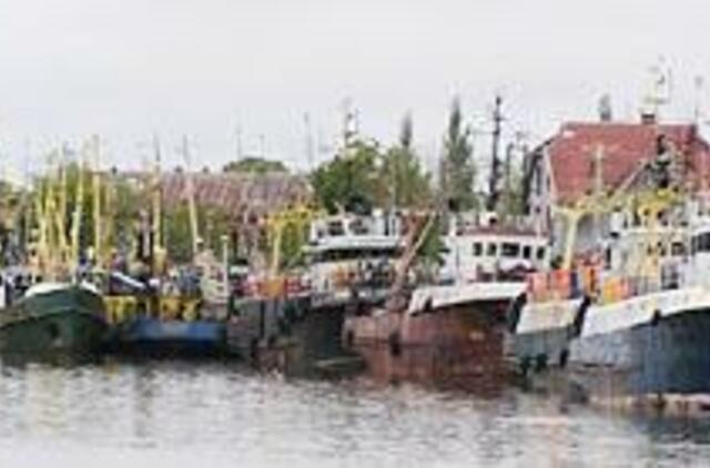 Kuro kolonėlė Žvejų uostelyje - dar vienas aistrų objektas 