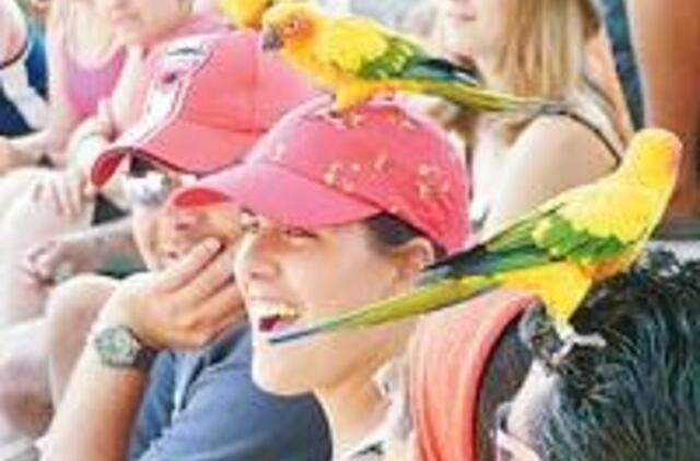 Ispanai - paslaugūs, bet tik rytoj