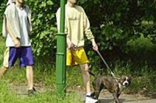 Klaipėdoje įsibėgėja ekologinės policijos darbas 