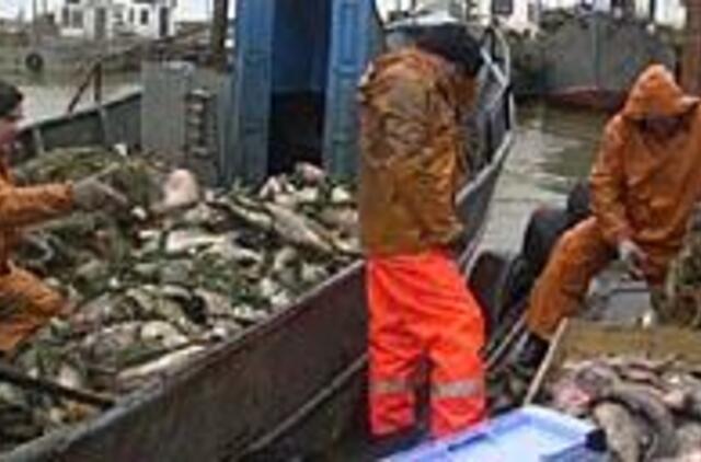 Žvejai savo veiklą lygina su atominės bombos gamyba 