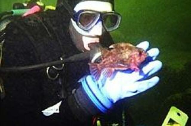 Jūrinių pramogų verslui trukdo biurokratija 