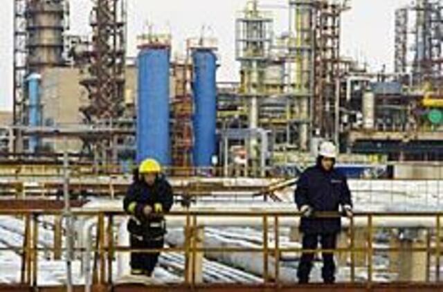 Politinę naktį buriama vaivorykštė 