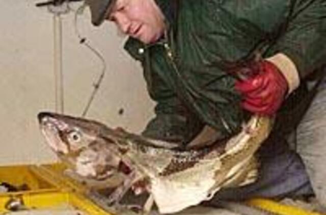 Menkių žvejybai - nauji apribojimai 