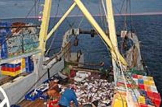 Ar per didelės išmokos už supjaustomus laivus? 