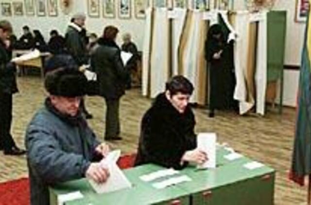 Tiesioginiams merų rinkimams - špyga taukuota 