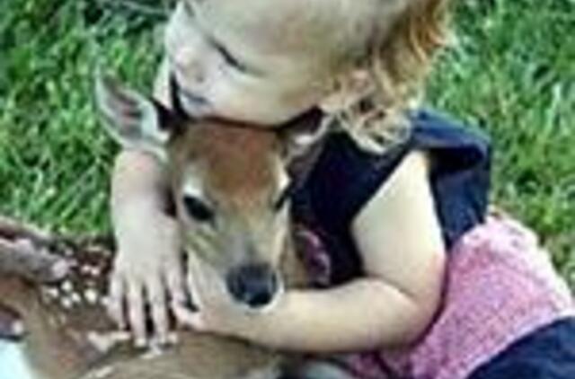 Dar kartą apie beržinę košę