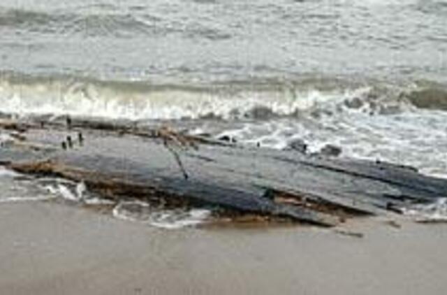 Mokslininkai suka galvas, kaip išsaugoti jūros dovaną 