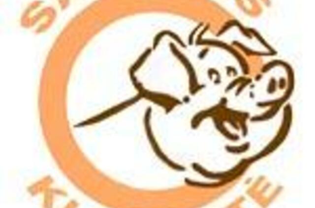 Savaitės kiaulystė: rinkom valdžią - išrinkom vaikų darželį 