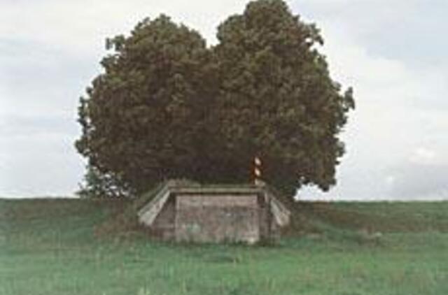 Prasidėjo karališkosios Vokiečių kultūros dienos 