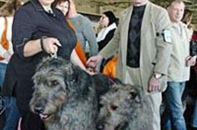 Dvasių vedliai, liūtų medžiotojai ir pediatrai