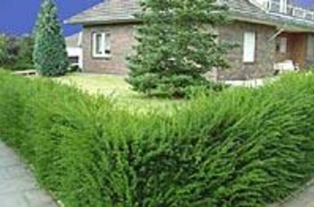 Kokią gyvatvorę pasirinkti?