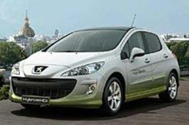 Frankfurtas: svajojant apie žaliąjį rytojų