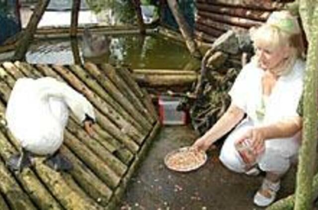 "Kiekviena gyvybė - neįkainojama" 