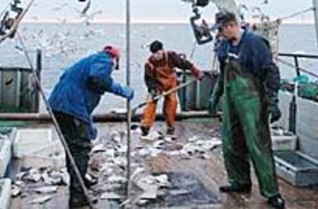 Kitąmet menkių gaudytojai uždirbs mažiau 