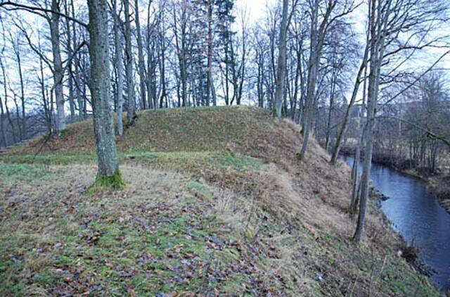 Žakainių šviesa priklauso ir nuo rinkimų