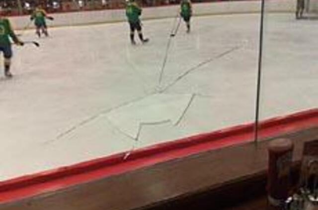 Lankytojus gąsdina ledo ritulys