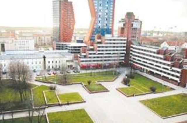 Atgimimo simbolis nesulaukia atgimimo