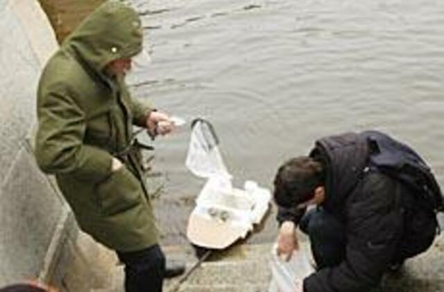 Absurdo komedija Neringoje tęsiasi