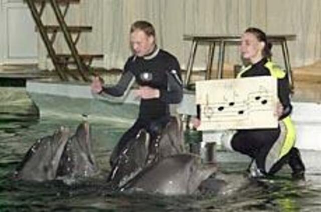 Du gaidelius atstoja delfinai ir Šrekas