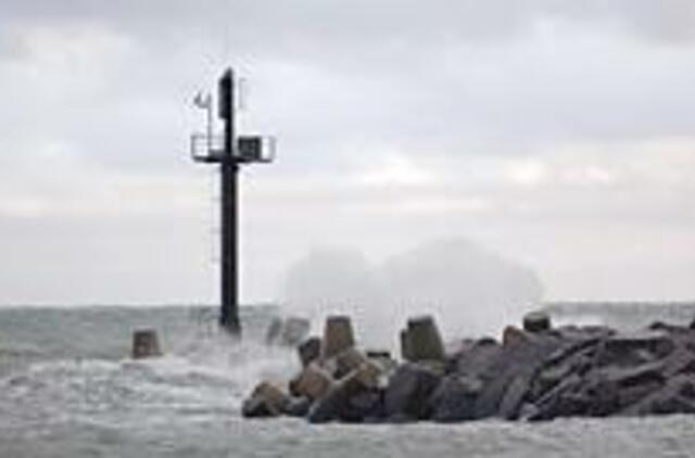 Startuoja nauja regata 