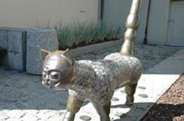 Senamiesčio katinas turi brolį dvynį