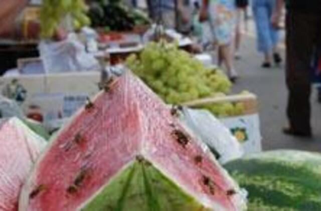 Po širšių atakų - medikų apgultis 