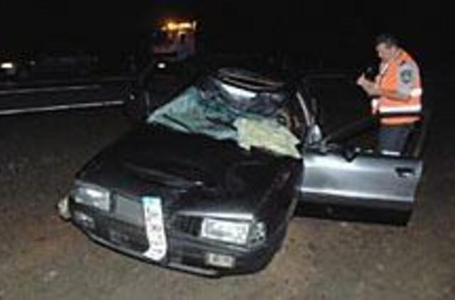 Gyvūnai keliuose: žuvo dar vienas žmogus