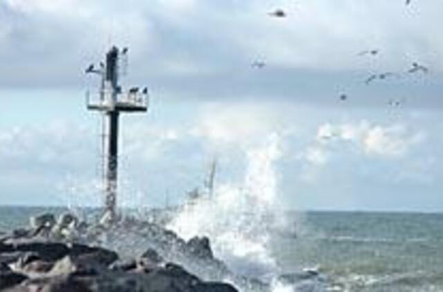 Mirštančiai Baltijai gaivinti - tarptautiniai standartai