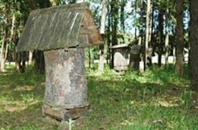 Vilkynės istorijos VI: gyvenimas tarp vabzdžių 