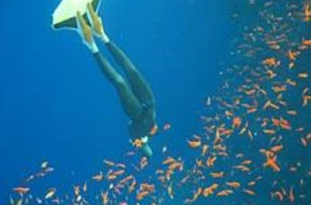 Paslaptingi gelmių garsai