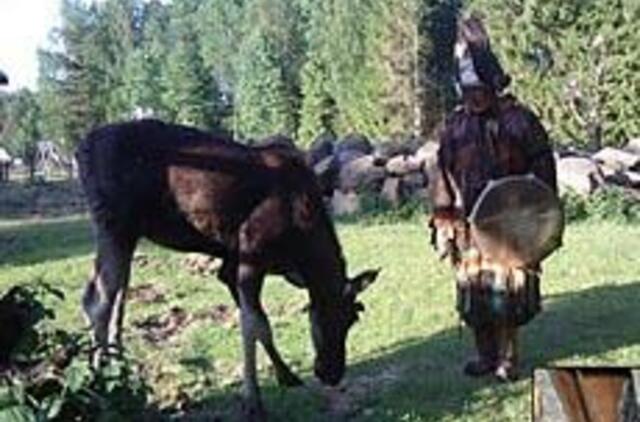 Vilkynės istorijos VII: gyvenimas tarp žmonių 