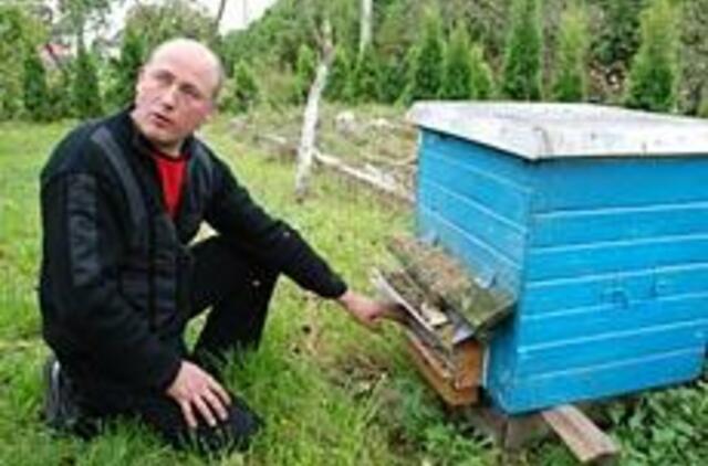 Girininkai: kylančios trobos ir medaus kupini aviliai  