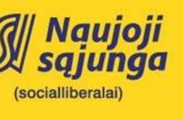 "Piliečių pasirinkimas 2008": Naujosios sąjungos rinkimų nuostatų analizė - galimybių, o ne realių darbų programa