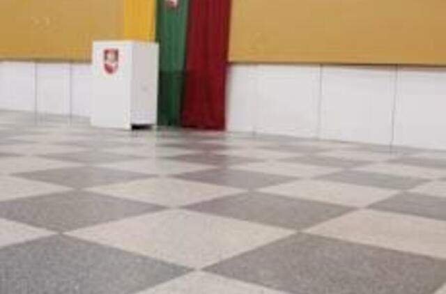 Z. Vaigauskas: rinkimai vyko sklandžiai