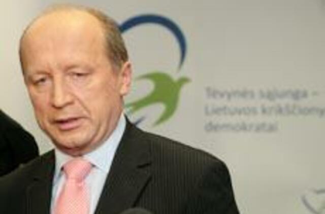 Valdančiąją koaliciją turėtų formuoti konservatoriai - apklausa